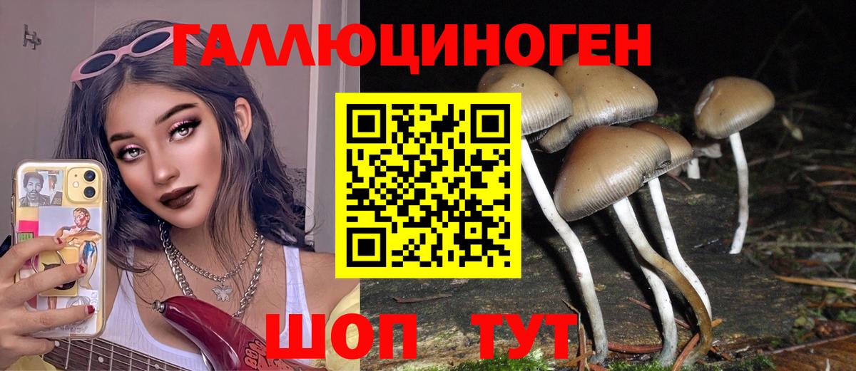 Псилоцибиновые грибы прущие грибы  Вход с VPN  Новочеркасск 
